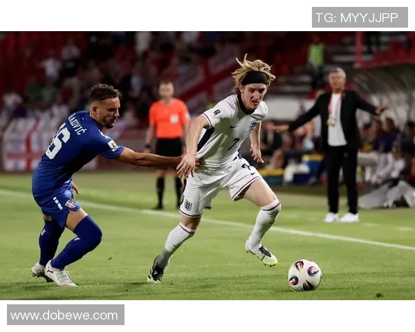 赛尔维亚足球队最新球星名单解析及实力分析