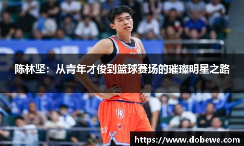 三亿体育官网入口