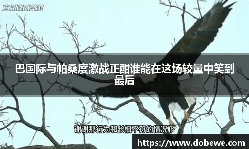 三亿体育